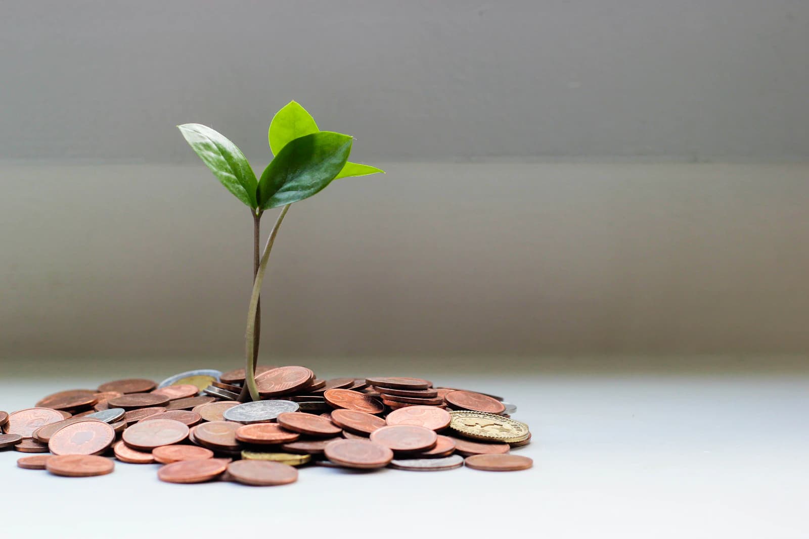 El interés compuesto y tu cronograma FIRE: por qué la tasa de ahorro lo cambia todo